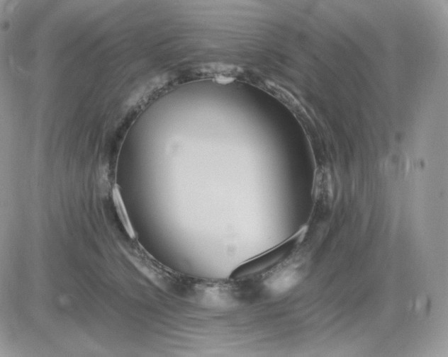 X0000081430564200701261825