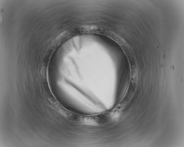 X0000081430565200701261825