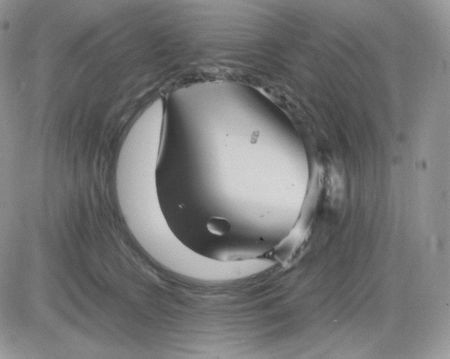 X0000081430566200701261825