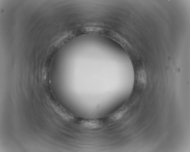 X0000081430567200701261825