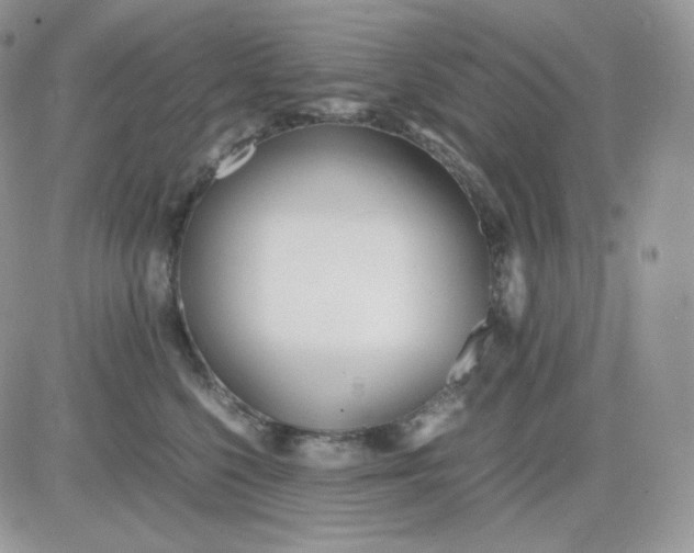 X0000081430568200701261825