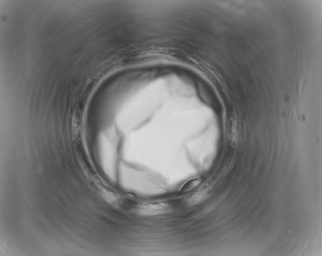 X0000081430569200701261825