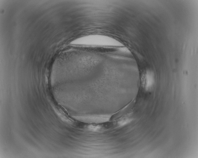 X0000081430570200701261825