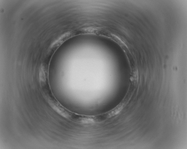 X0000081430572200701261825