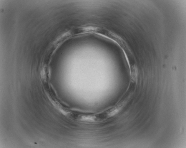 X0000081430573200701261825