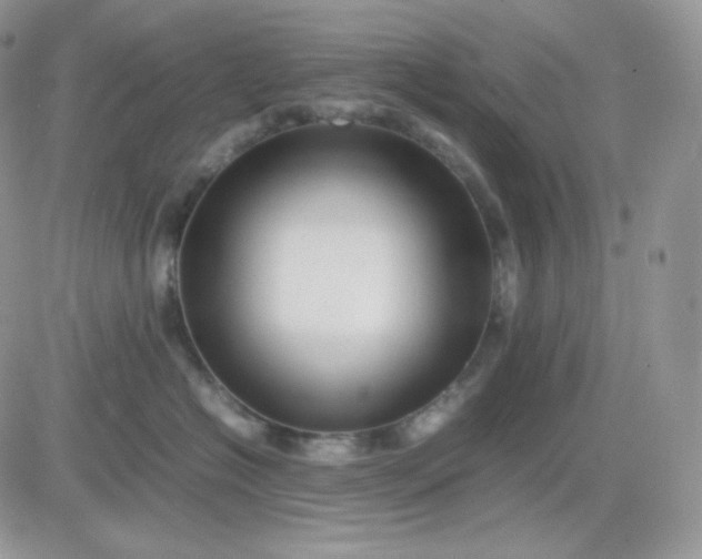 X0000081430574200701261825