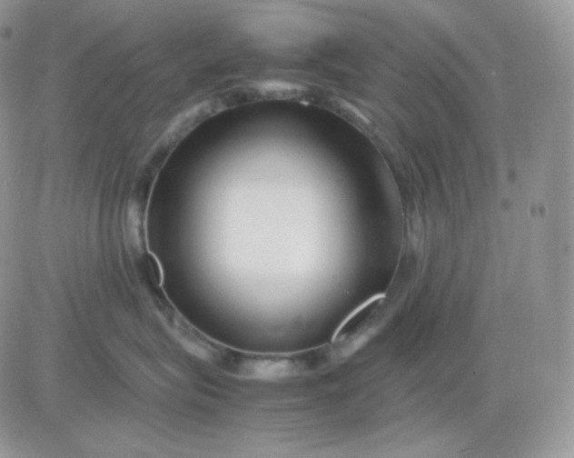 X0000081430575200701261825