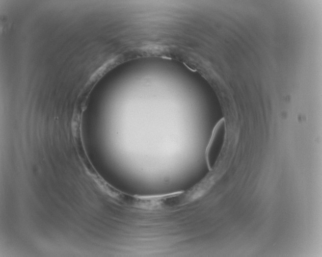 X0000081430576200701261826