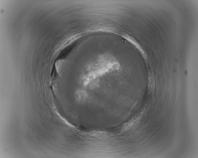 X0000081430577200701261825