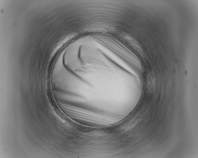 X0000081430578200701261825