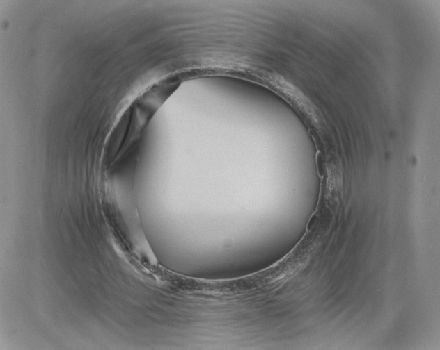 X0000081430580200701261825