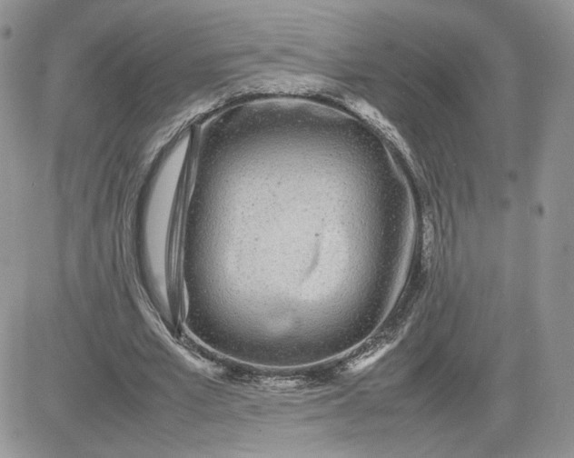 X0000081430581200701261825