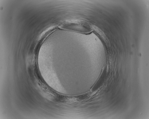 X0000081430583200701261825