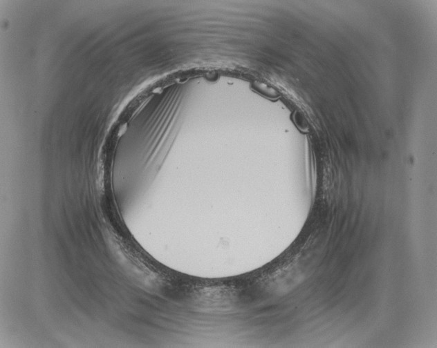 X0000081430584200701261825