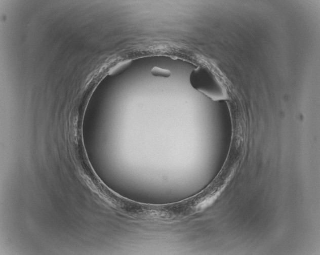 X0000081430585200701261825