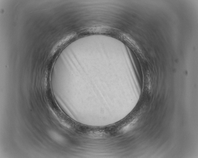 X0000081430586200701261825