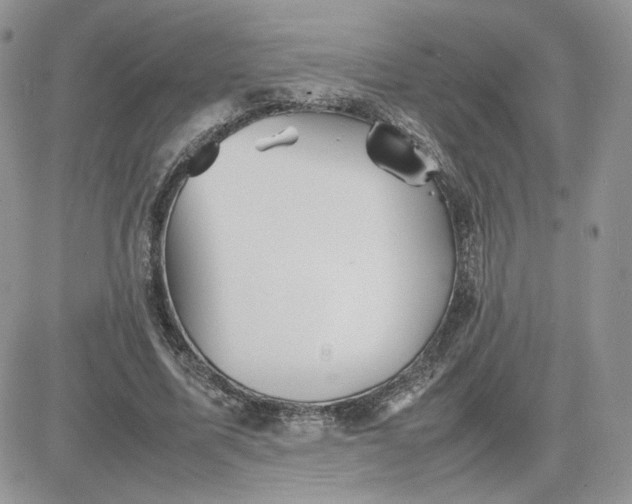 X0000081430587200701261825