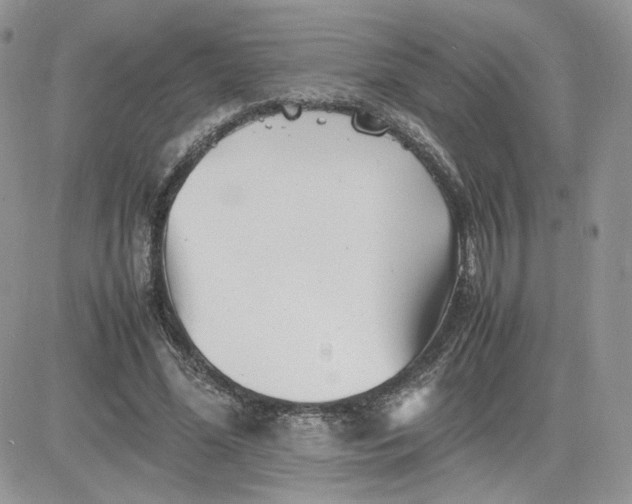 X0000081430588200701261825