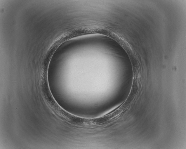 X0000081430591200701261824