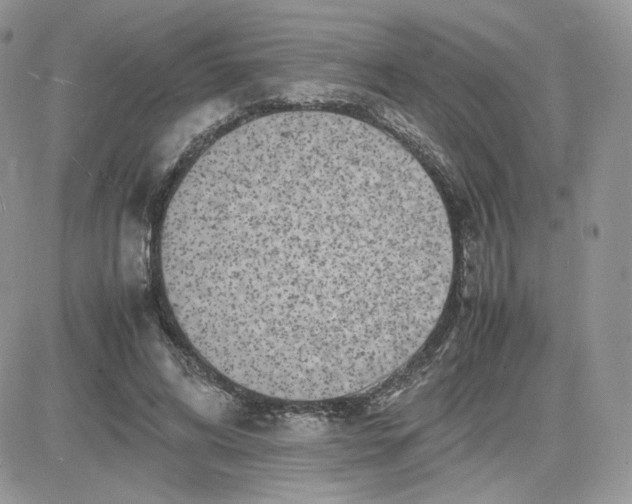 X0000081430592200701261824