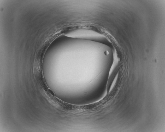 X0000081430593200701261824