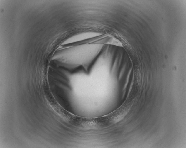 X0000081430594200701261824