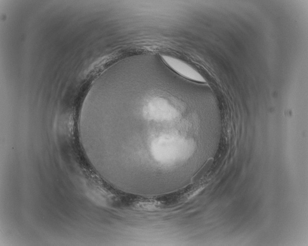 X0000081430595200701261824