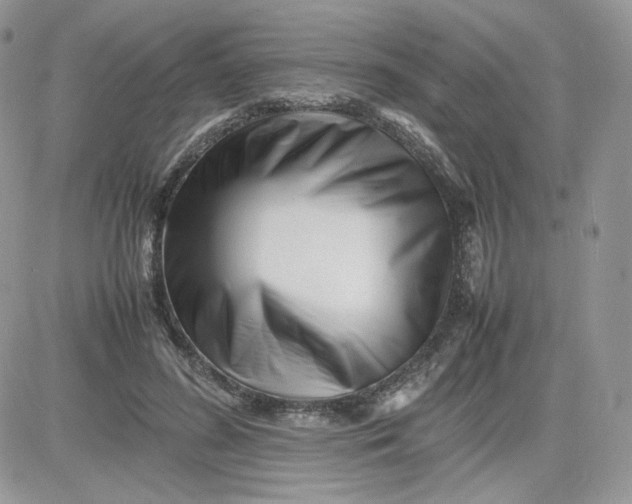 X0000081430596200701261824