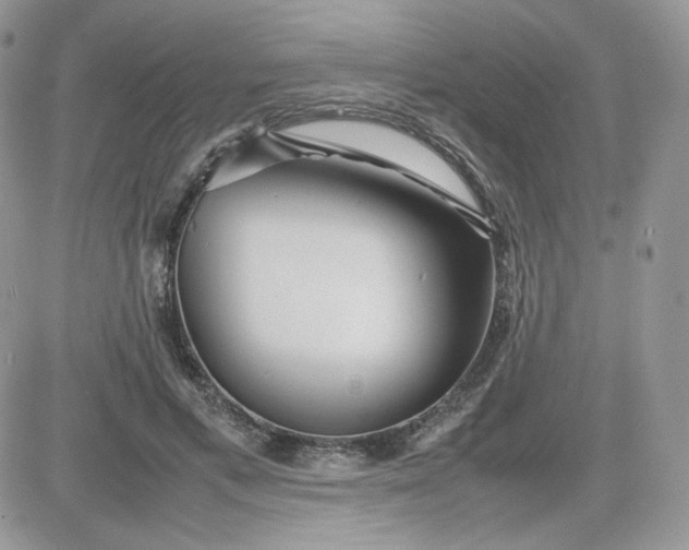 X0000081430597200701261824