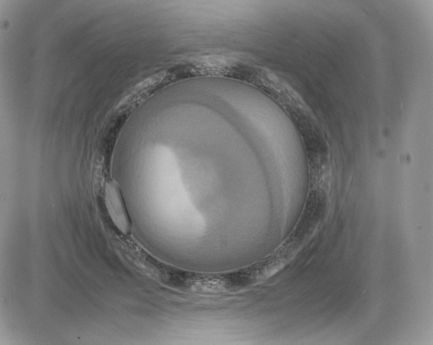 X0000081430599200701261824