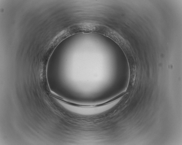 X0000081430600200701261824