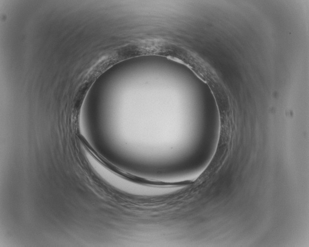 X0000081430601200701261824