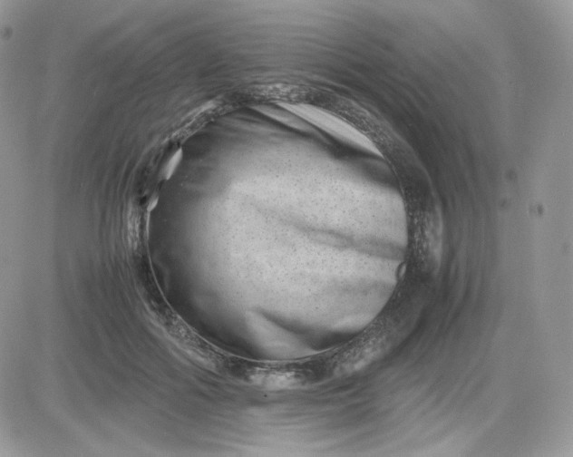 X0000081430602200701261824