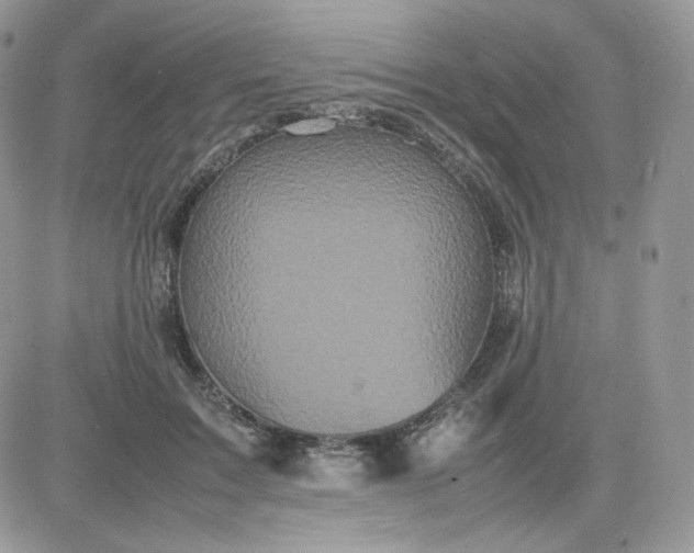 X0000081430603200701261824