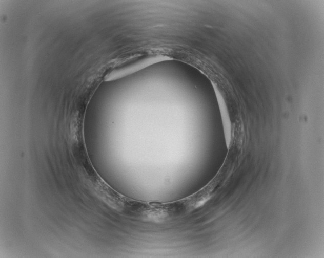 X0000081430604200701261824