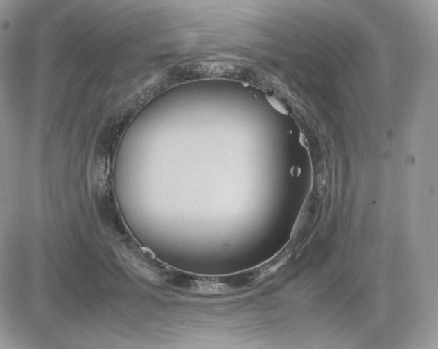 X0000081430605200701261824