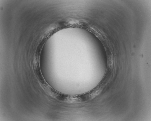 X0000081430607200701261824