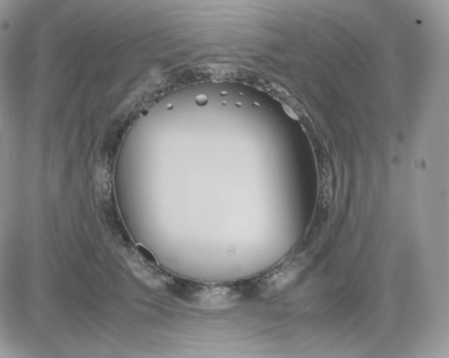 X0000081430609200701261824