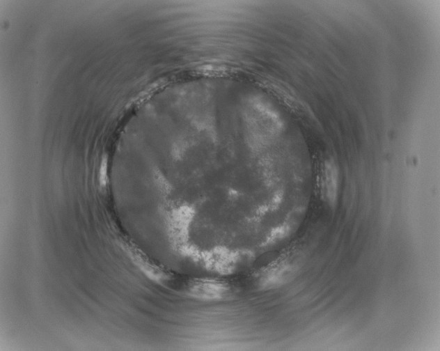 X0000081430610200701261824