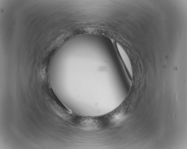 X0000081430611200701261824