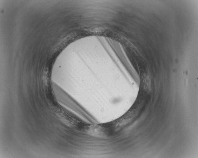 X0000081430612200701261824