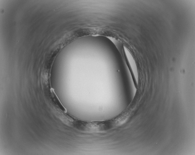 X0000081430613200701261824