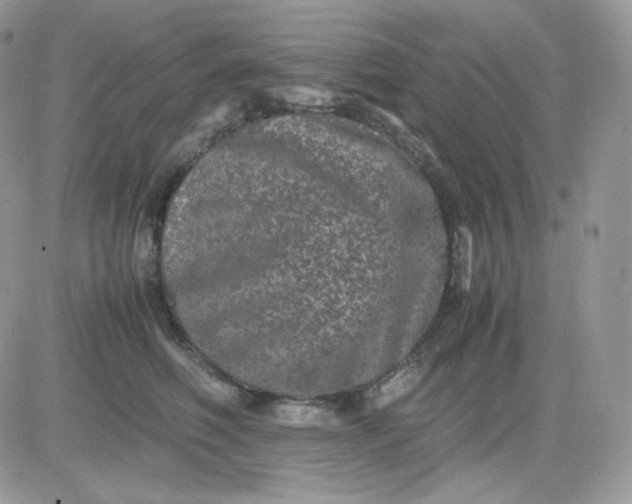 X0000081430614200701261824