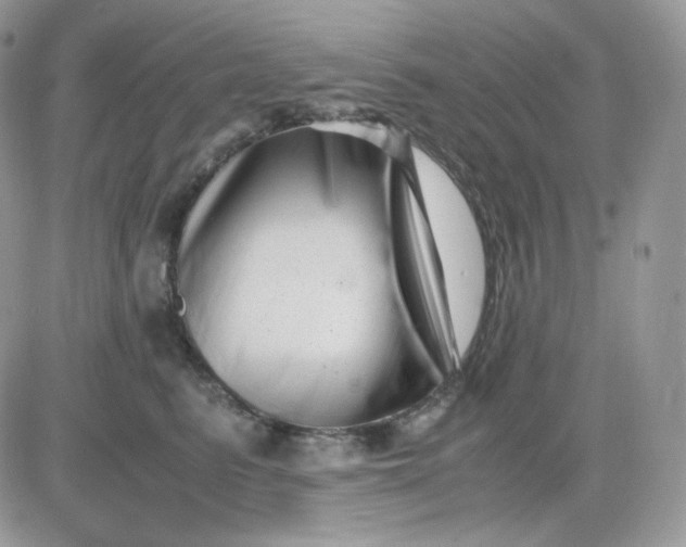 X0000081430615200701261824