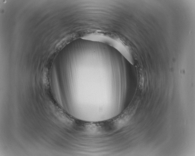 X0000081430616200701261824