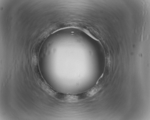 X0000081430617200701261824