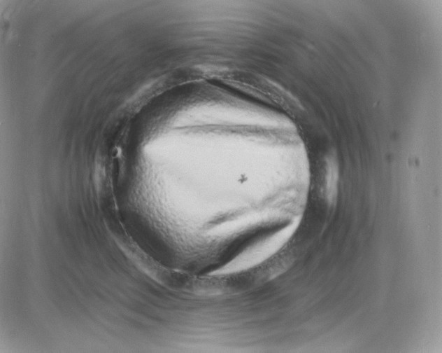 X0000081430618200701261824