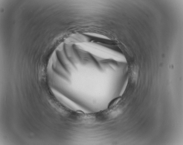 X0000081430619200701261824