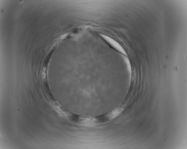 X0000081430621200701261824