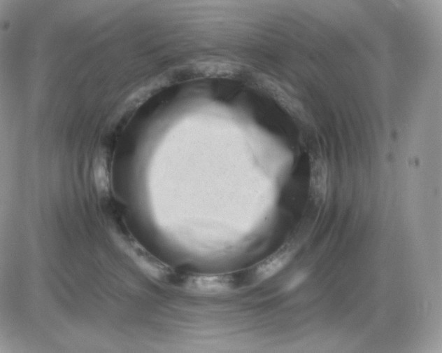 X0000081430622200701261824